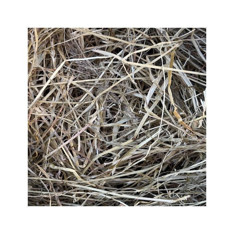 Foin de prairie naturelle 15 kg pour Paillage des potagers
