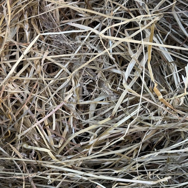 Foin de prairie naturelle 15 kg pour Paillage des potagers Foin de prairie naturelle 15 kg pour Paillage des potagers