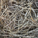 Foin de prairie naturelle 15 kg pour Paillage des potagers