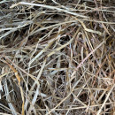 Foin Permaculture 15 kg pour Paillage des potagers