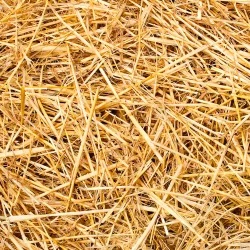 Paille de blé 14 kg