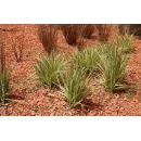 Paillage de Miscanthus 20 kg - Naturel et Durable pour Jardins