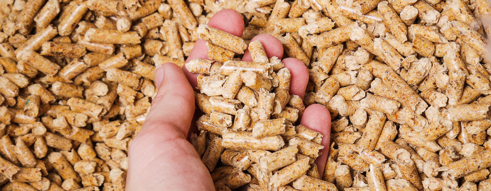 Comment choisir les meilleures granulés de bois pour chauffer votre maison — free download