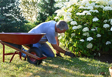 Comment bien installer le paillage extérieur pour un jardin impeccable
