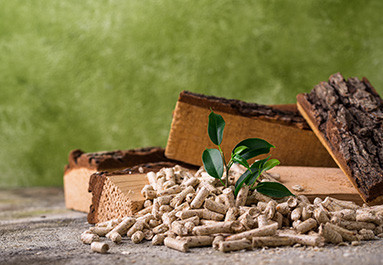 Construisez un avenir durable avec les granulés de bois : Par où commencer ?